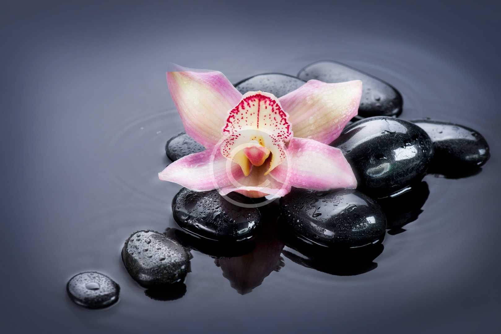 Life-transforming Retreats